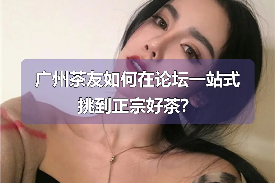 广州茶友如何在论坛一站式挑到正宗好茶?